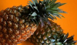 娱乐吃瓜小菠萝视频