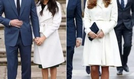 梅根哈里最新爆料,最新爆料揭露惊人内幕